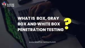What is Black Box, Gray Box and White Box Penetration testing?