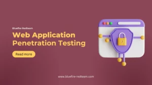 web application penetration testing