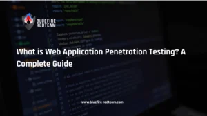 What is Web Application Penetration Testing